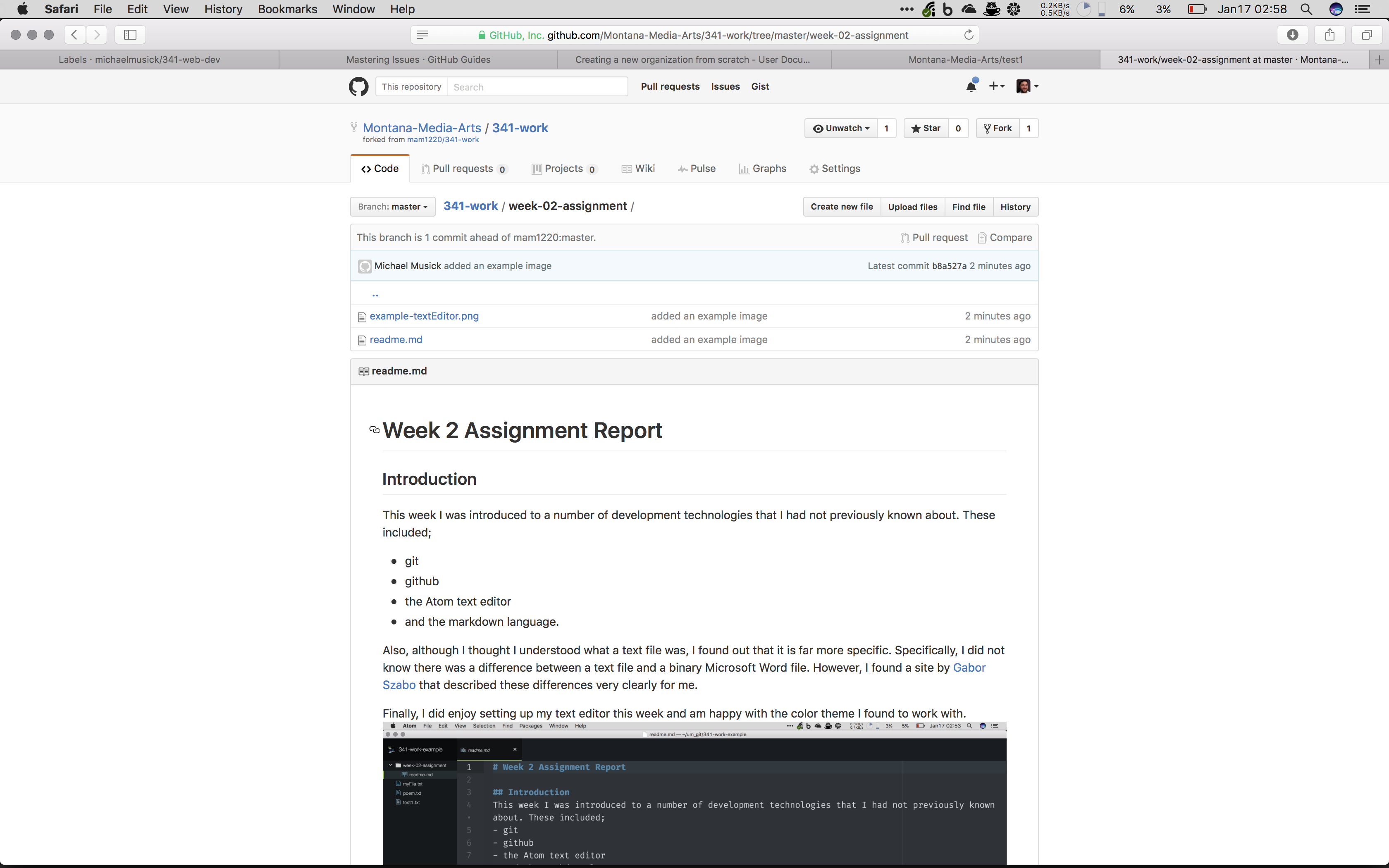 Example of HW 2 on GitHub