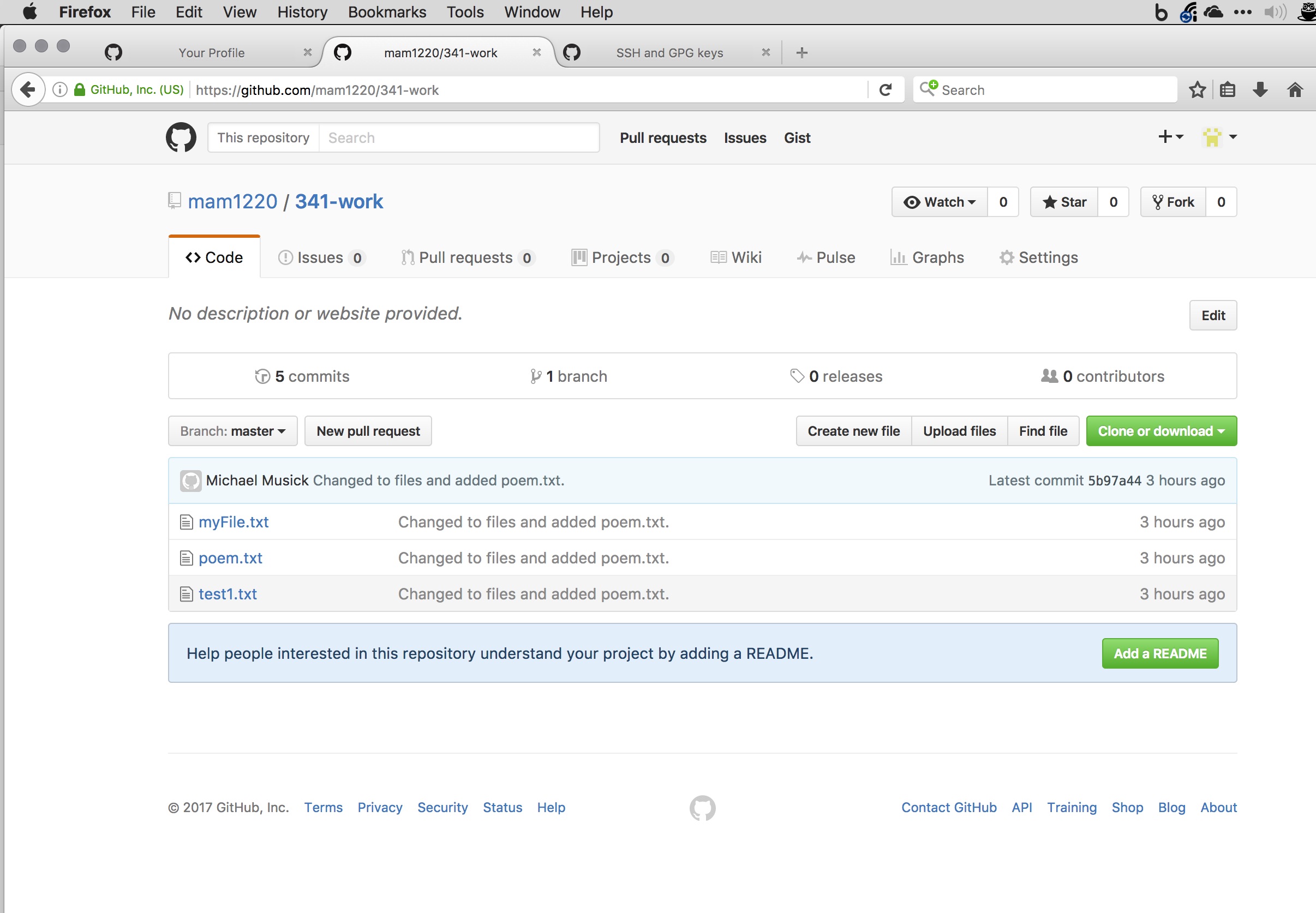 The 341 repo on GitHub