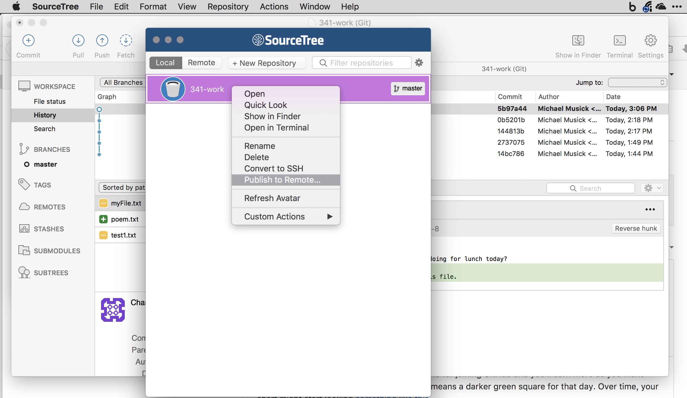 use sourcetree to manage a remote repo