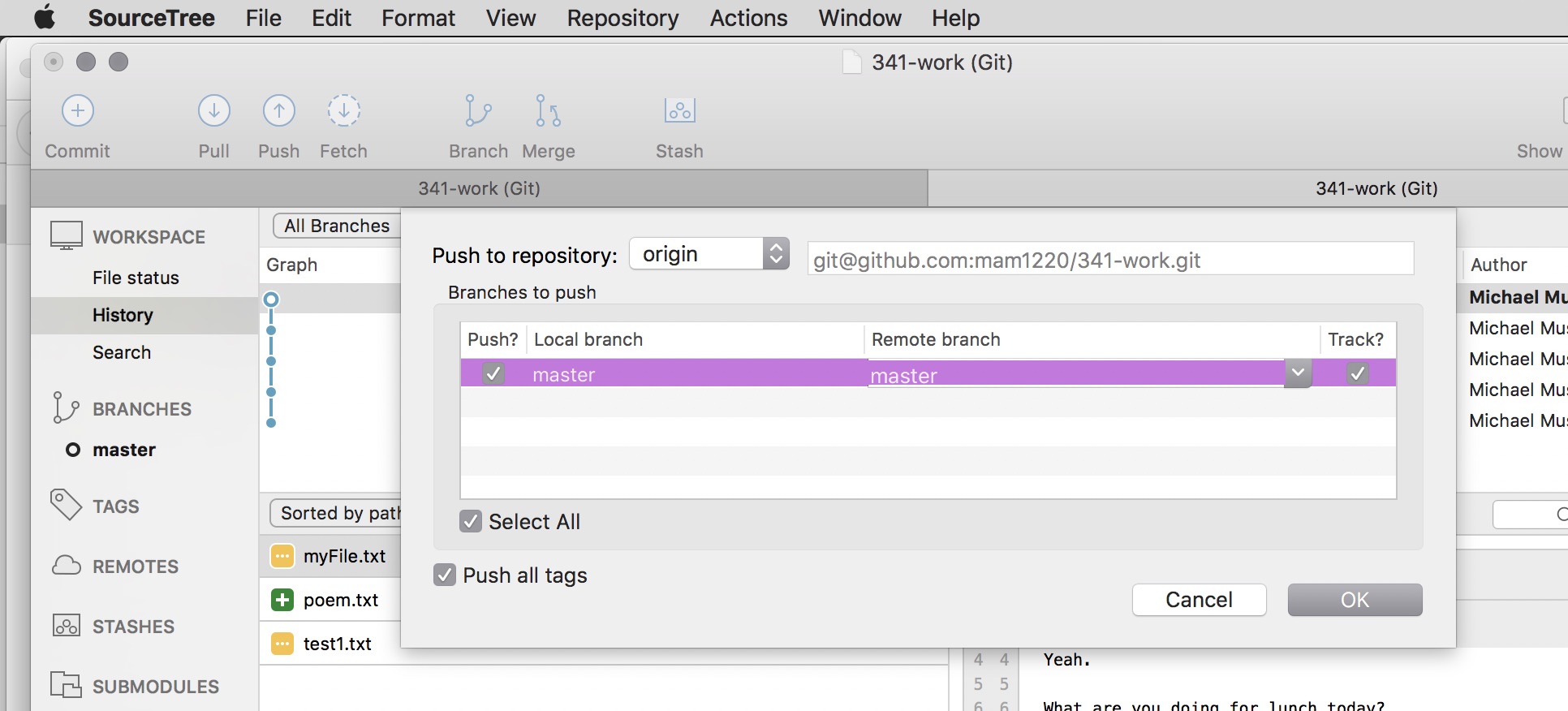 Push repo to GitHub