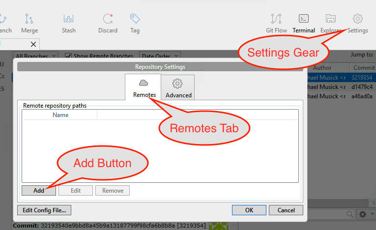 Adding a remote repo in sourcetree on PC