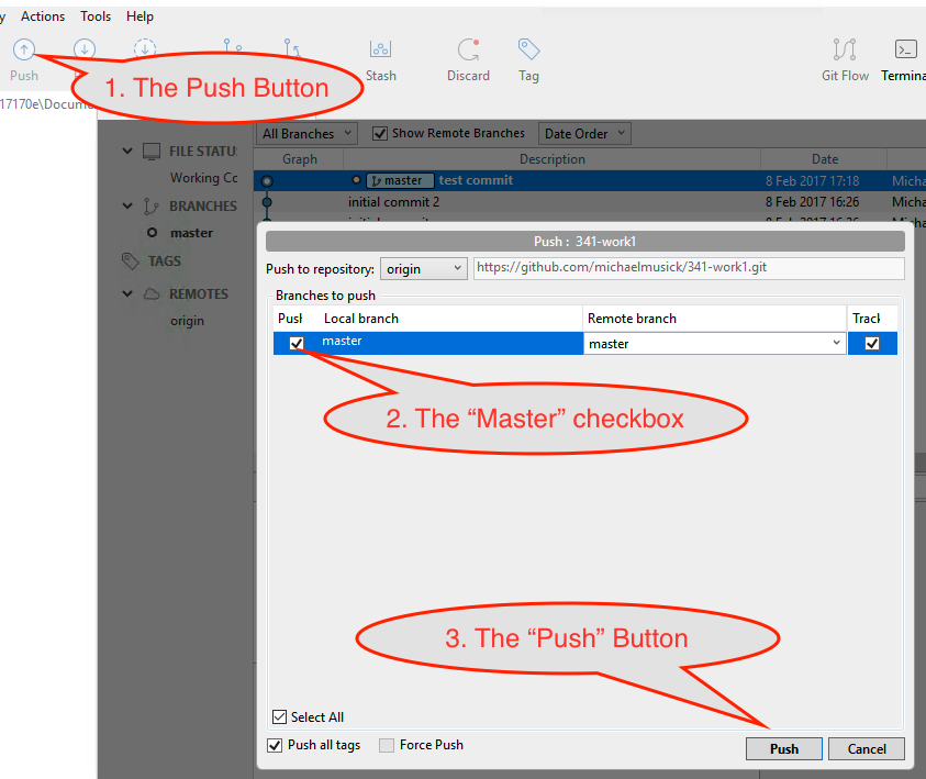 Pushing Box for Source Tree on PC