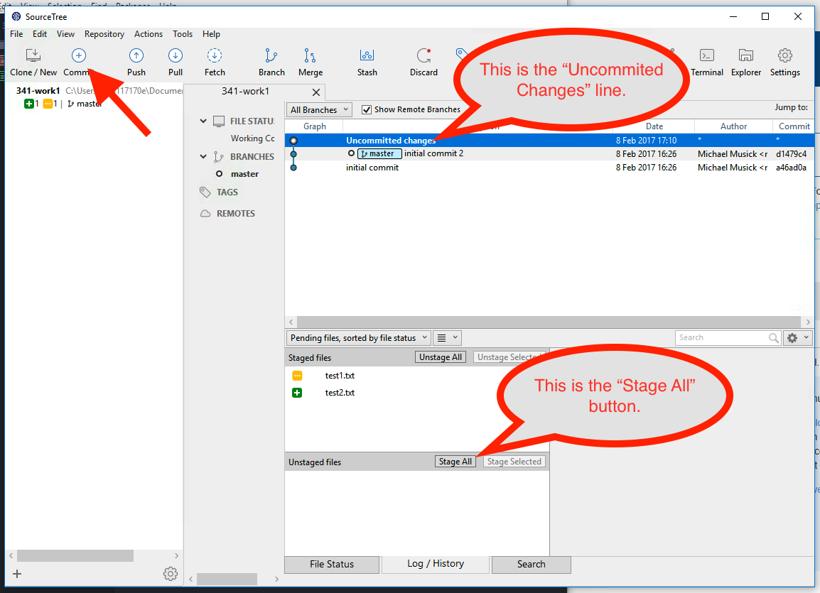 Staging area in SourceTree for PC