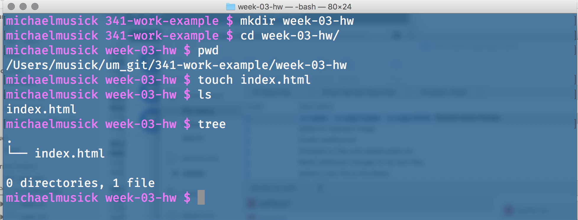 Showing the creation of index.html in the terminal.app