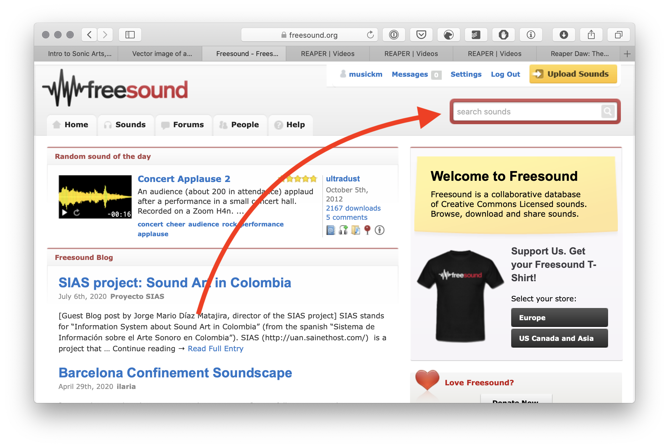 Freesound homepage, with arrow pointing to search box.