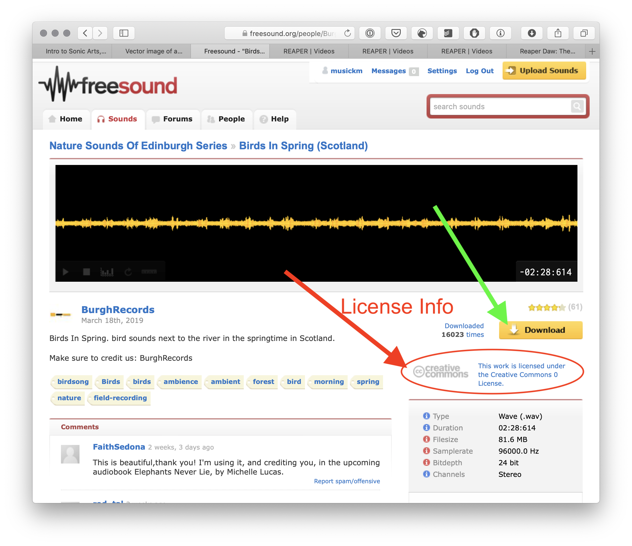 Individual sound file page on Freesound. With arrows highlighting the license section and download button.