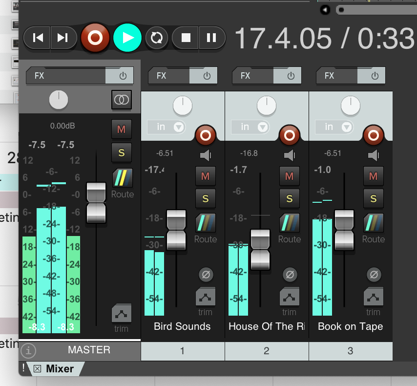 Amplitude meters