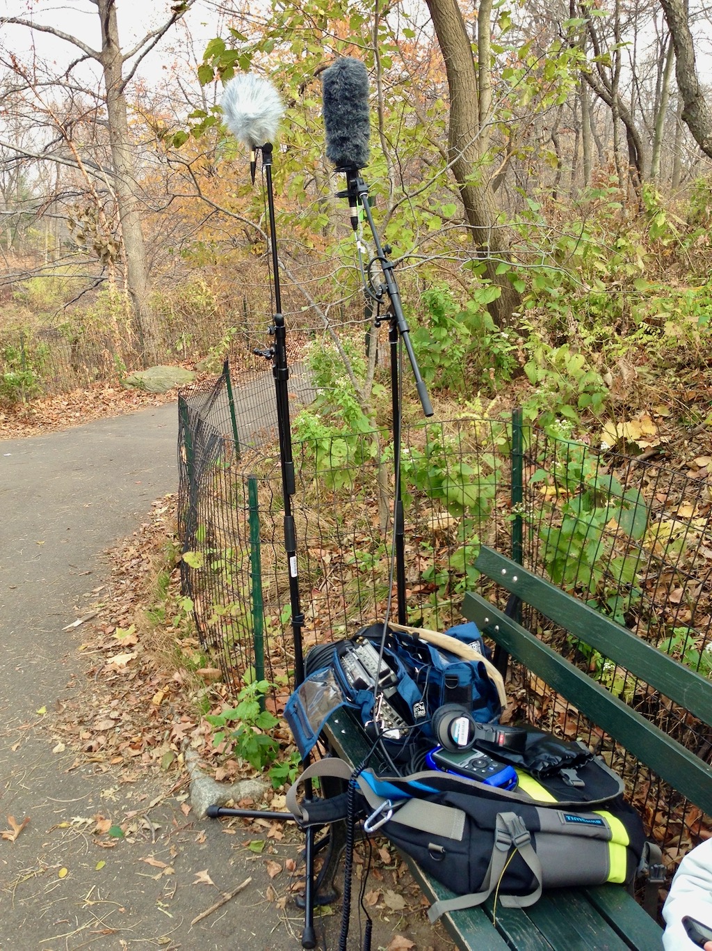 Microphones setup in Central Park in New York City to capture the soundscape