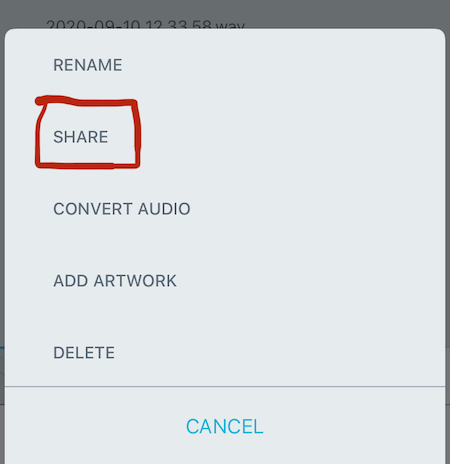 Example of selecting the share option