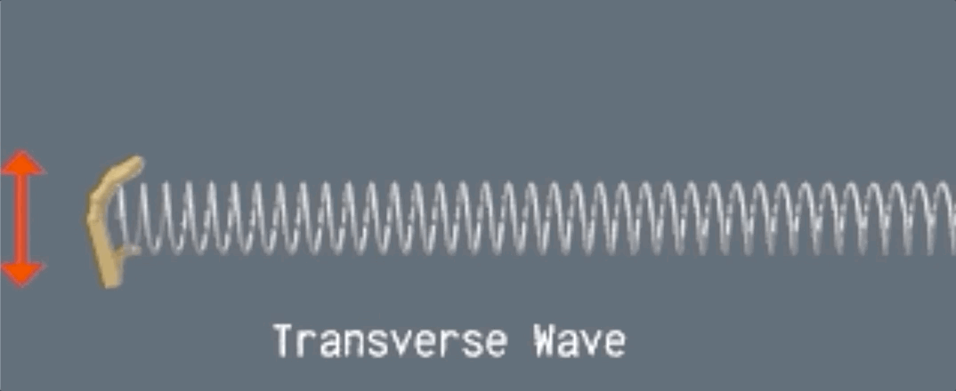 Example of transverse wave in spring.