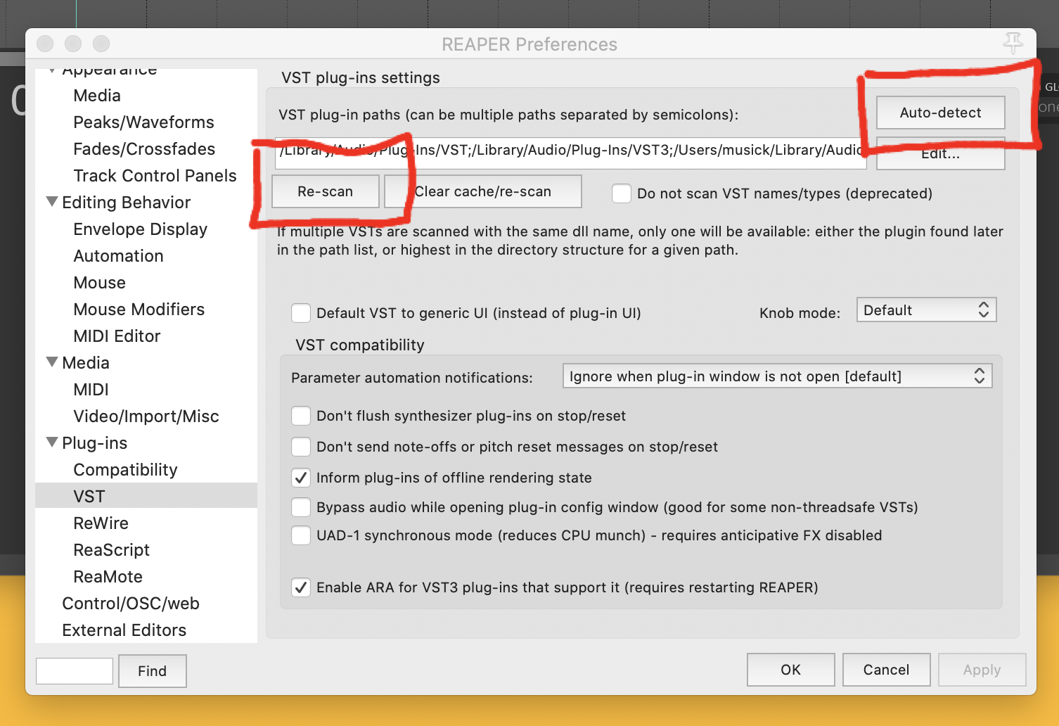 VST settings tab in Reaper.