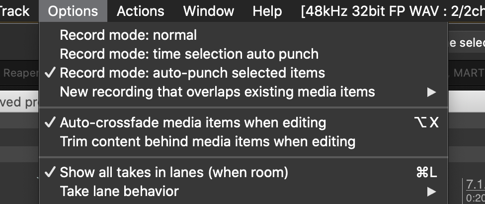 Auto-punch record mode selection menu